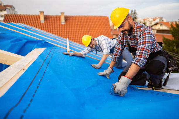 Best New Roof Installation  in Paris, KY
